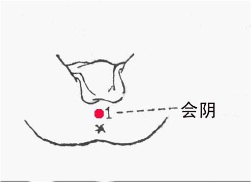 蔽骨的准确位置图片图片