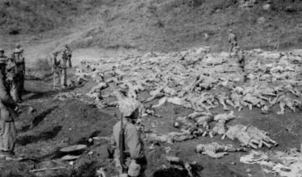 一人杀20万日本人，日本让他道歉，他说：南京大屠杀你们道歉了