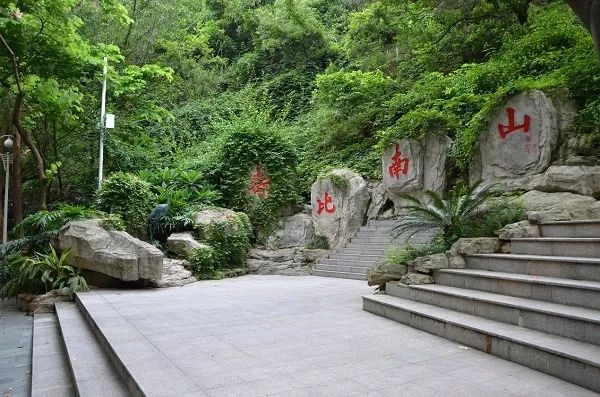 深圳蛇口山公园图片