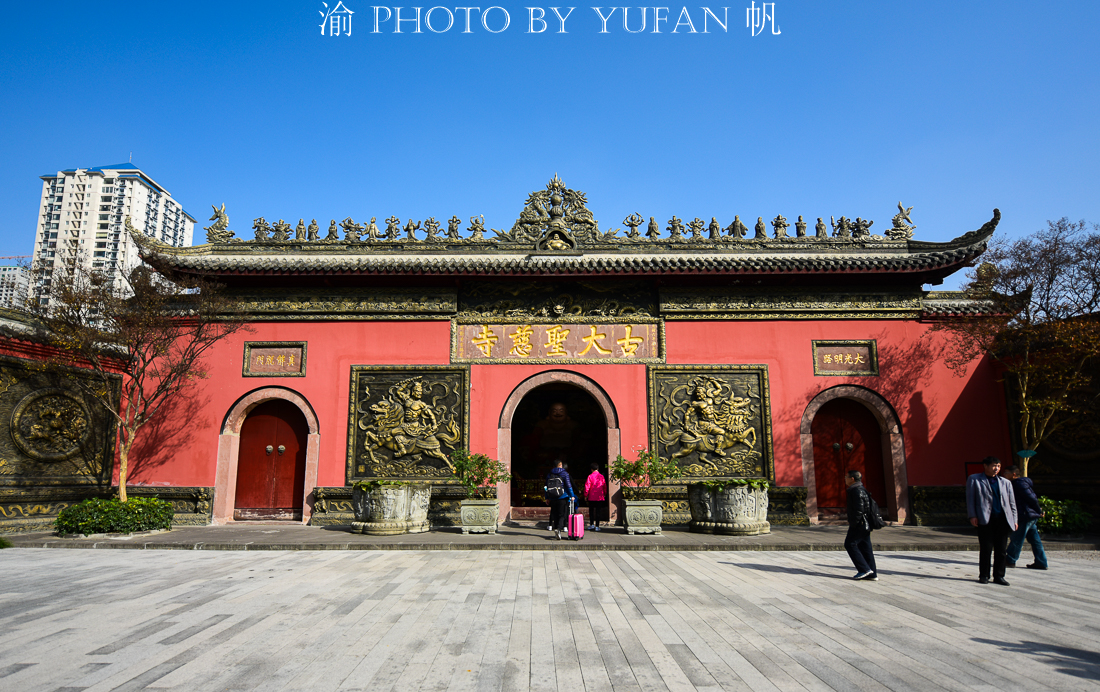 成都大慈寺的银杏太美了，一个个来自全国的游客乐得像孩子一般