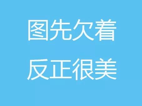 无图无真相文字图片