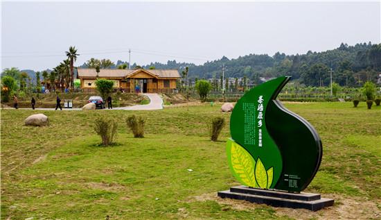 青神县西龙建机场图片