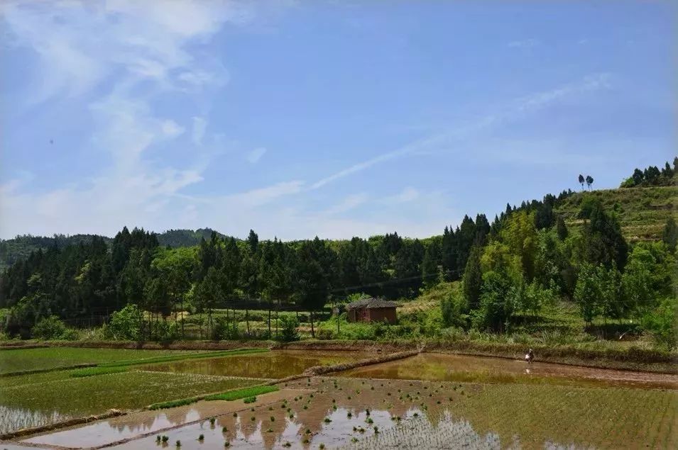 清代初年,马家后人马礼祥出生于三清乡桡片村鞍子山下.