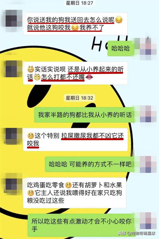 甚至还说还是从小养的听话,怎么打都不还嘴,这是拿狗狗的忠诚当做