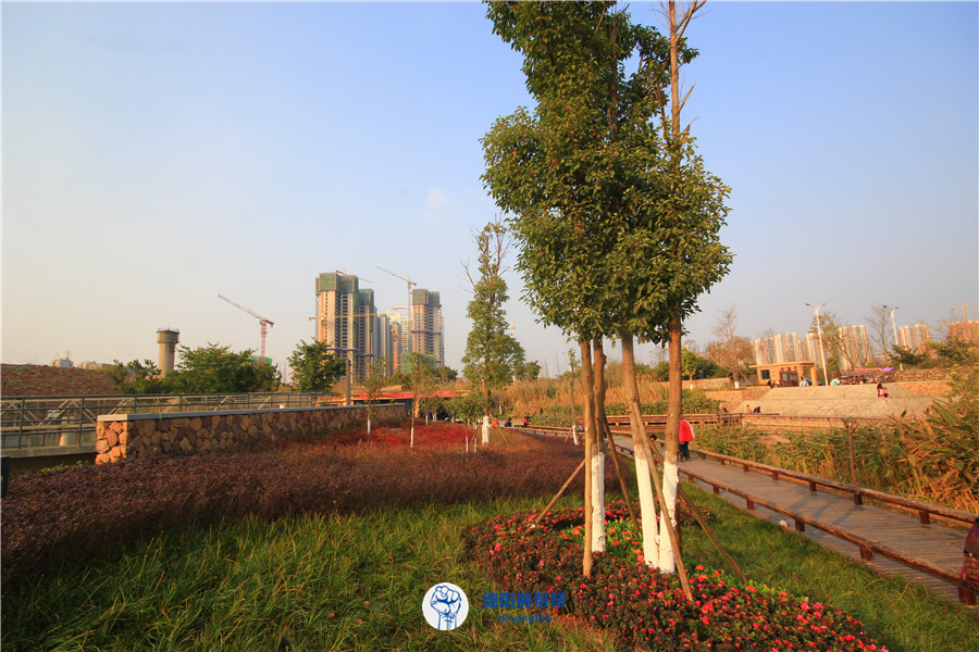 千萬別出太陽否則旌南溼地公園會被德陽人全面霸佔