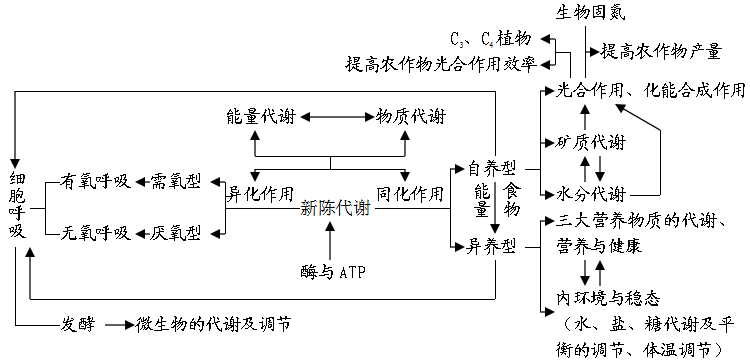 人和动物的新陈代谢