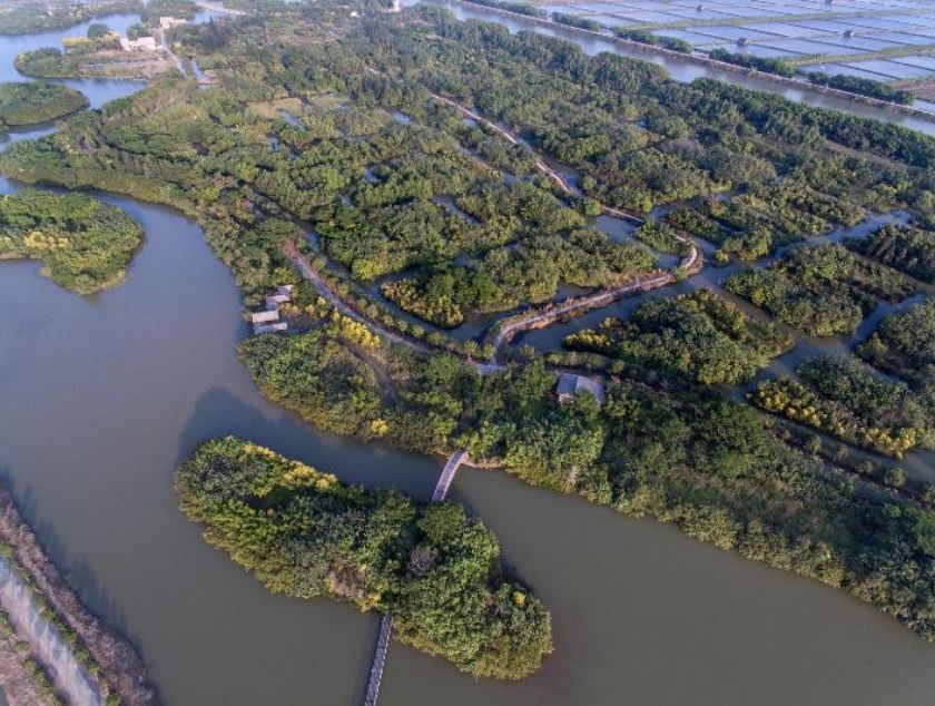 摄影/王健民2016年12月22日,无人机航拍广州南沙湿地公园这40年,中国