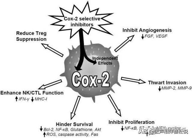 那cox2不错啊!