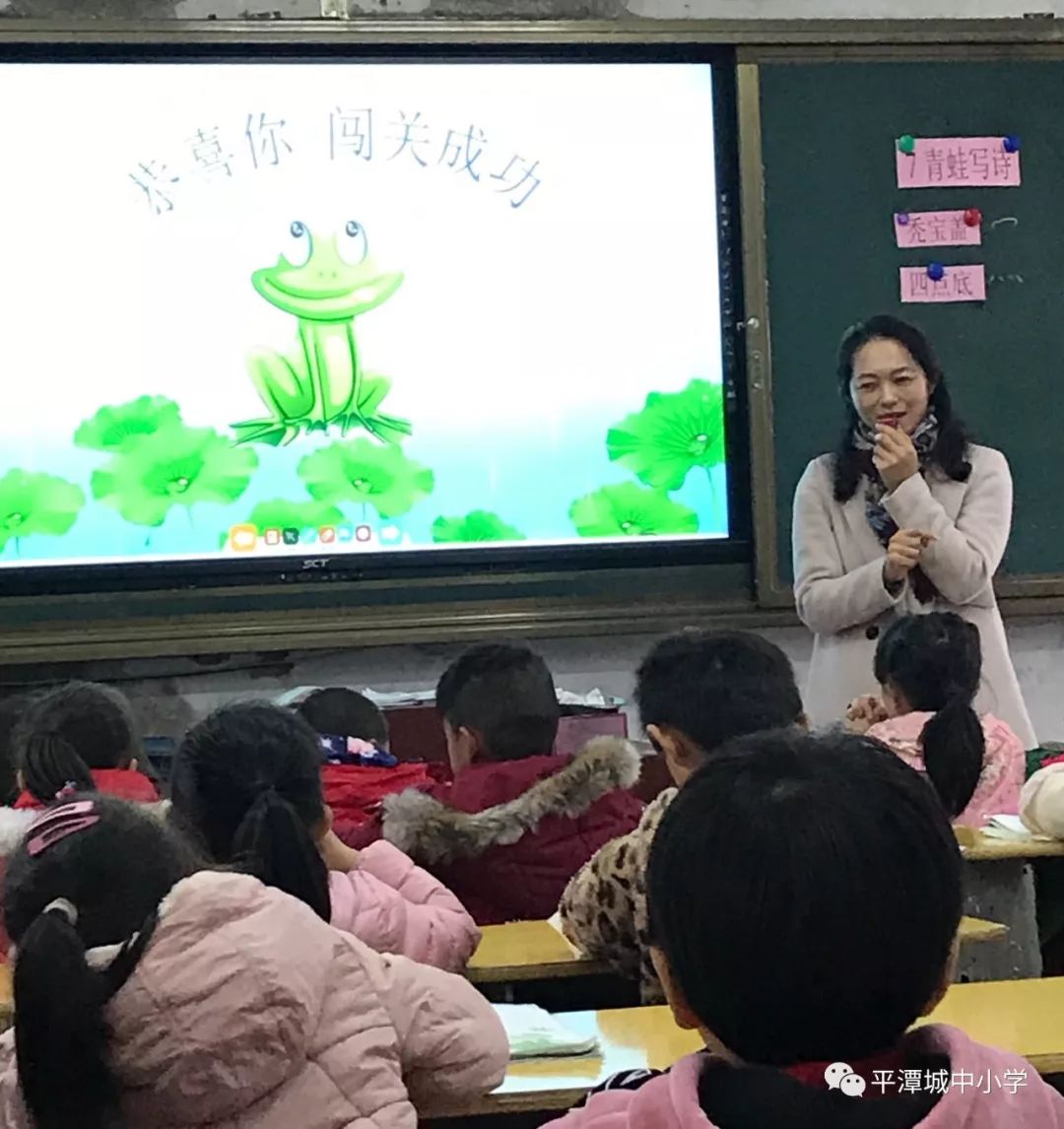 平潭城中小学校花图片