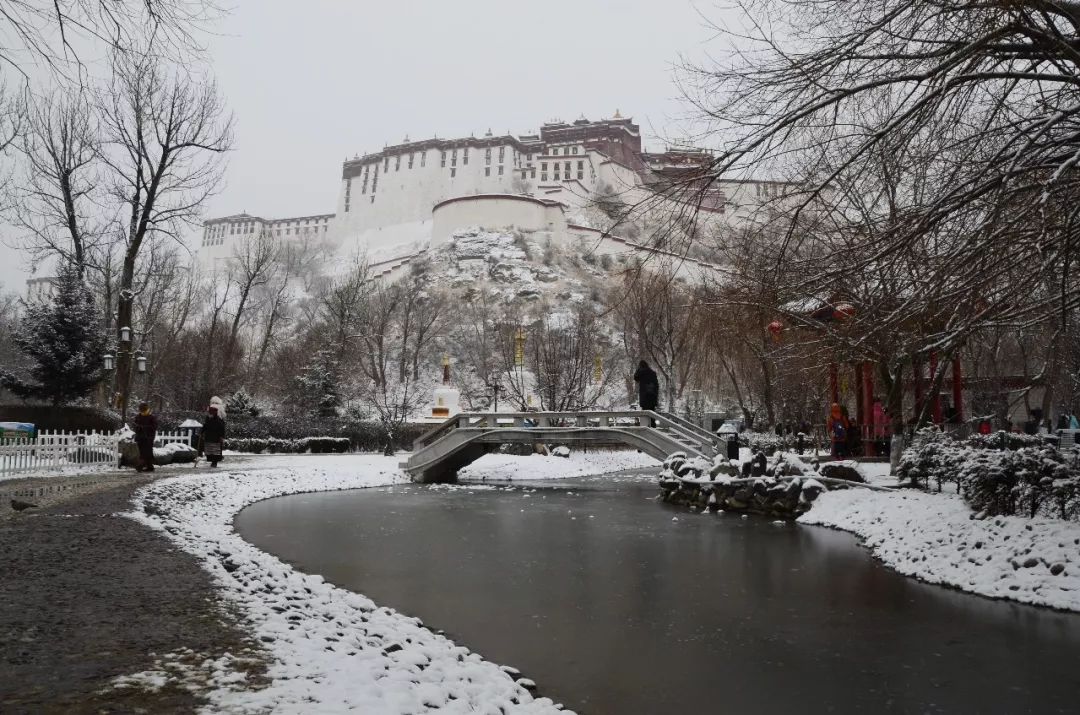 下雪的拉萨有多美即便曾经看过下雪的新疆依然被惊艳了