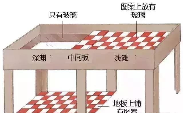 视觉悬崖实验图片