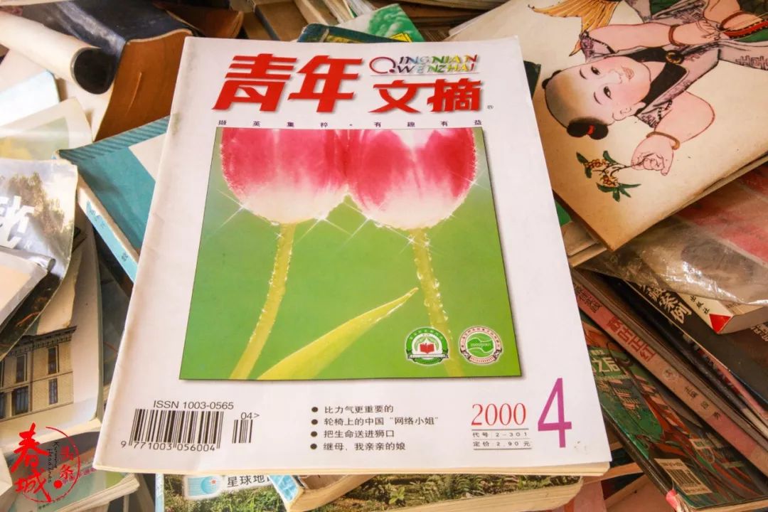 工具用书,各类词典,地方县志,文学经典,医学资料,娱乐杂志,漫画,小说