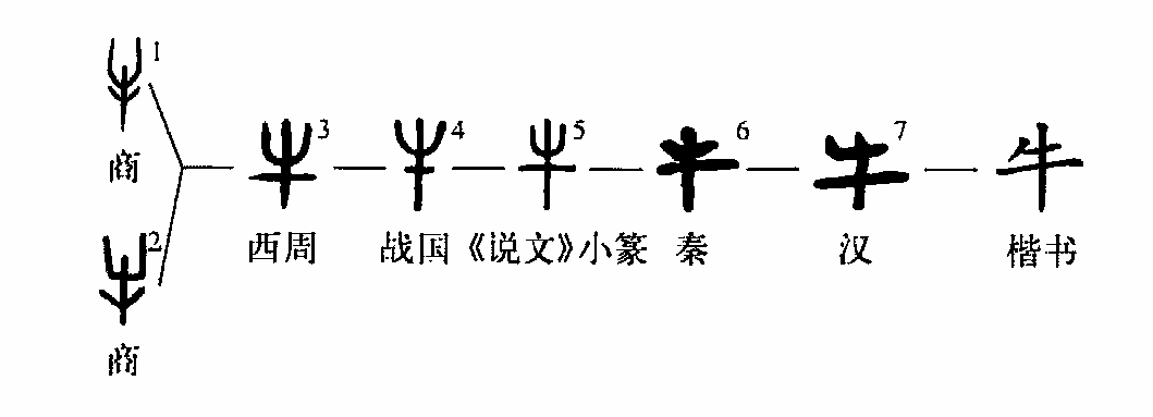 细说汉字 牛