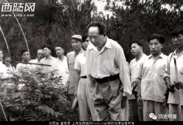 1959年毛泽东回韶山，在父母墓前只说了八个字