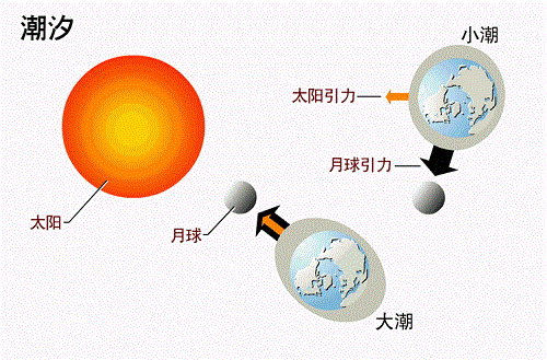 大海的潮汐和月亮有關嗎大唐金控