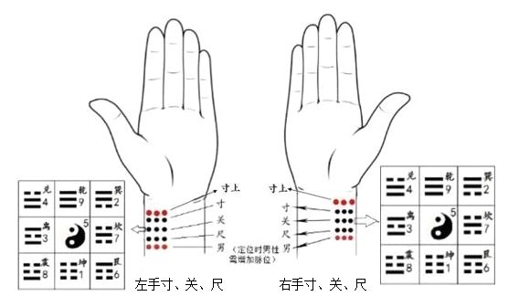 即,将九宫用来定位七脏九腑在脉象上的具体位置,且将脉炁,脉点,脉线