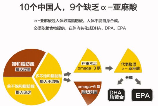 你了解真正的亚麻籽油吗