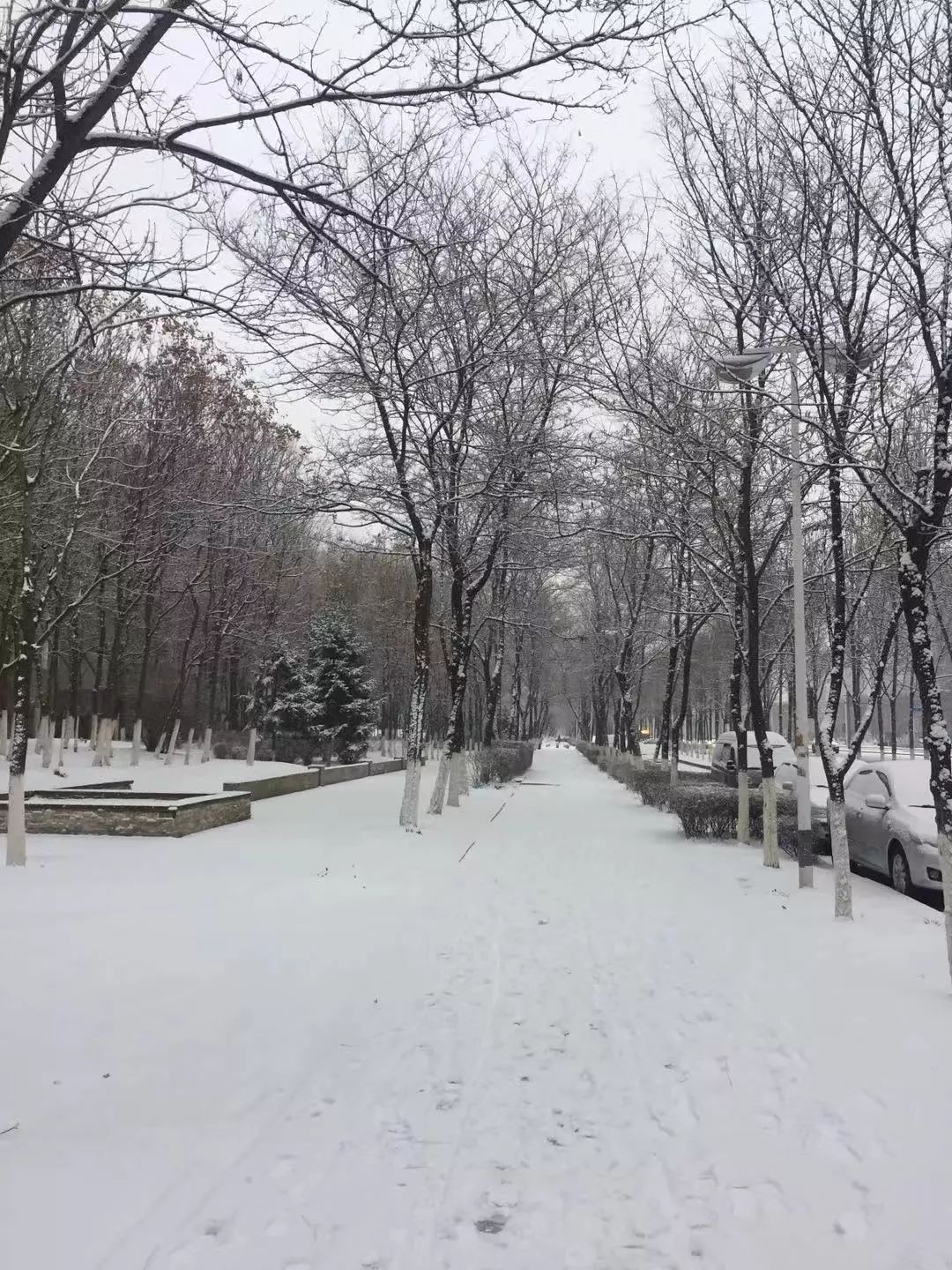 瀋陽終於下了一場正經的雪明天冬至講習俗吃餃子