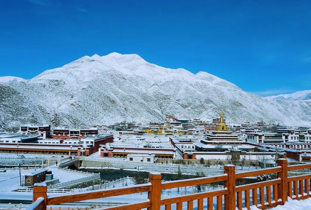 拉卜楞寺雪景图片