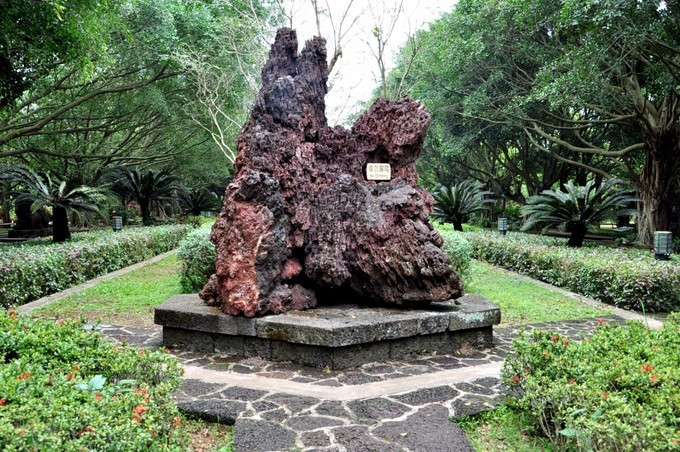 园区在火山锥,火山口及玄武岩台地上发育热带雨林为代表生态群落植物