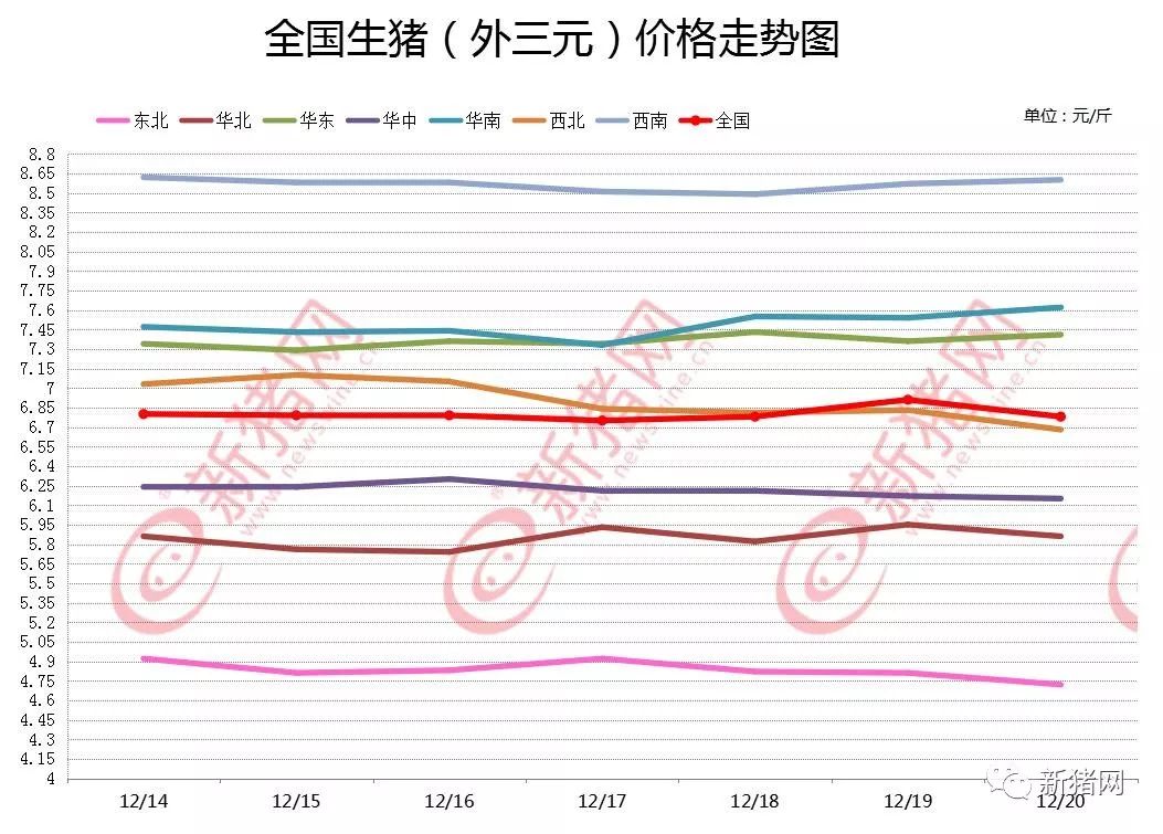 积压生猪出栏明显增加猪价承压 广东发生首例非瘟疫情