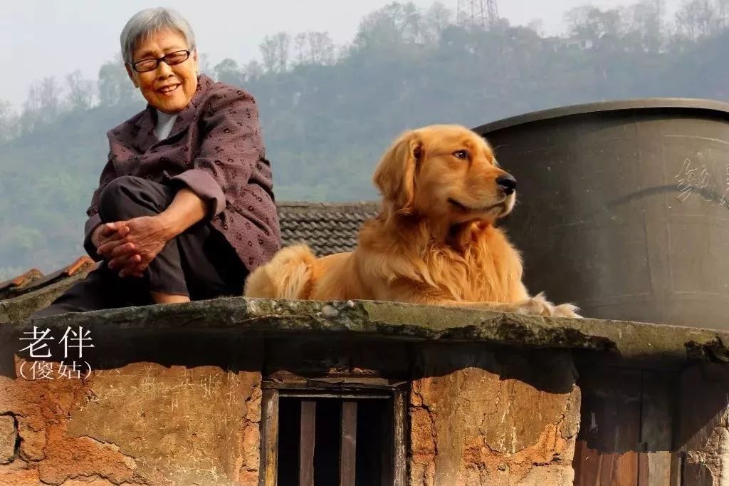 宿松空巢老人的现状在外打拼的宿松游子们过年回家吧