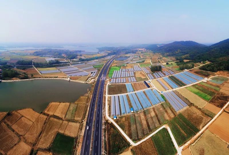 项目起点位于滁州市南谯区,接宁洛高速公路明光至来安段,终点位于合肥