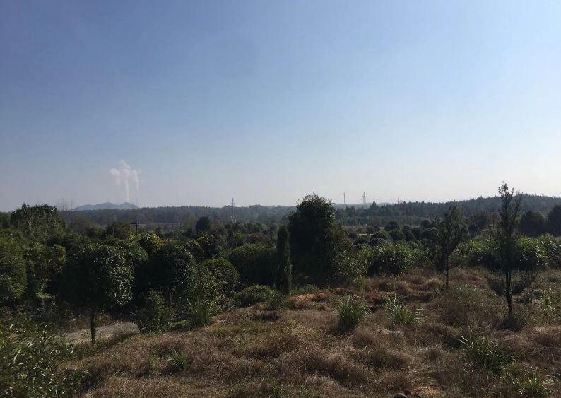 臨川區東館鎮兩地塊正掛牌公告 兩地塊均為商住用地,起拍價分別為5603