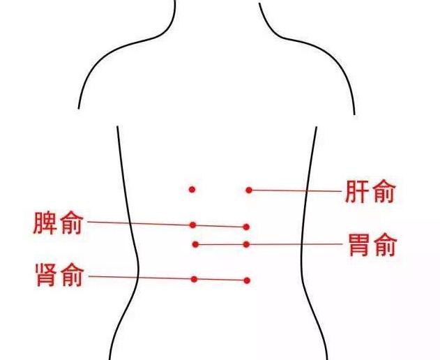 2,胃俞穴脾胃不和,消化不良的可通過按揉此穴來調理.