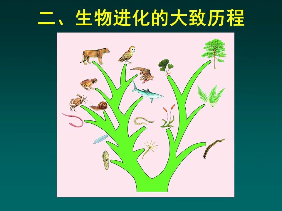 生物進化的歷程ppt