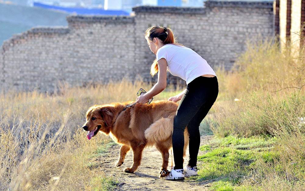 古人说男不养猫女不养狗是为什么?想不到还有这么一说!