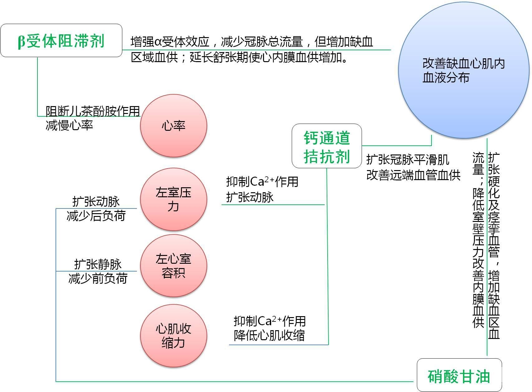 辅导知识 抗心绞痛药物的作用机制