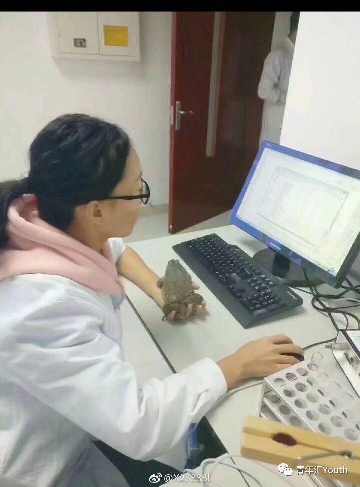 医学生能硬核到什么程度?(医学生能硬核到什么程度才能上学)-第1张图片-鲸幼网