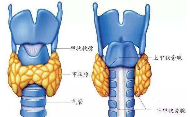 不轻易开刀,不过度治疗