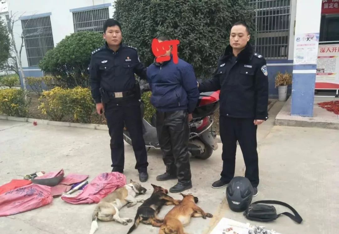 下午3点蒙城民警抓一偷狗贼人赃俱获图