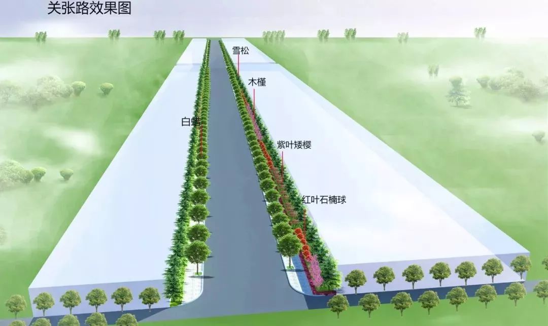 但由于种种原因,部分道路或未种植行道树,或行道树长势较差,或侧分带