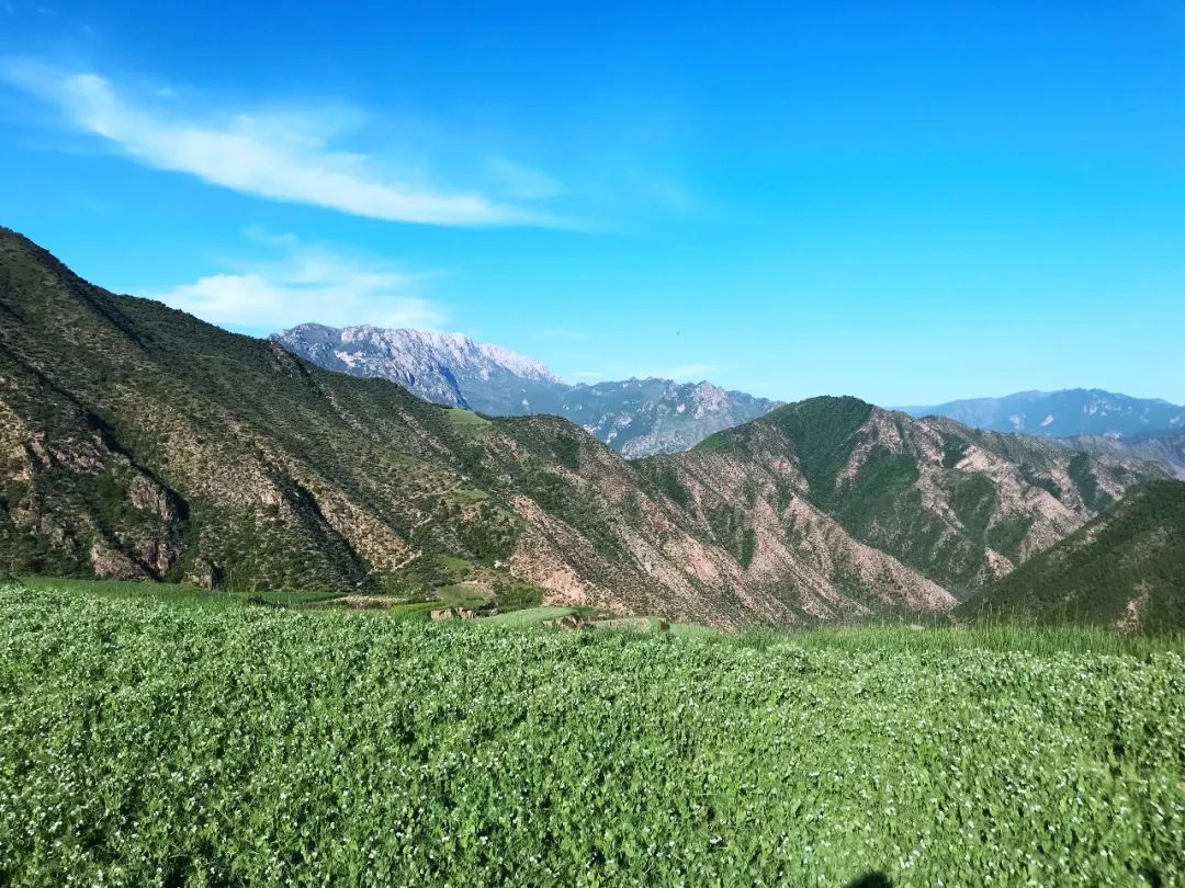 羊沙有秋峪