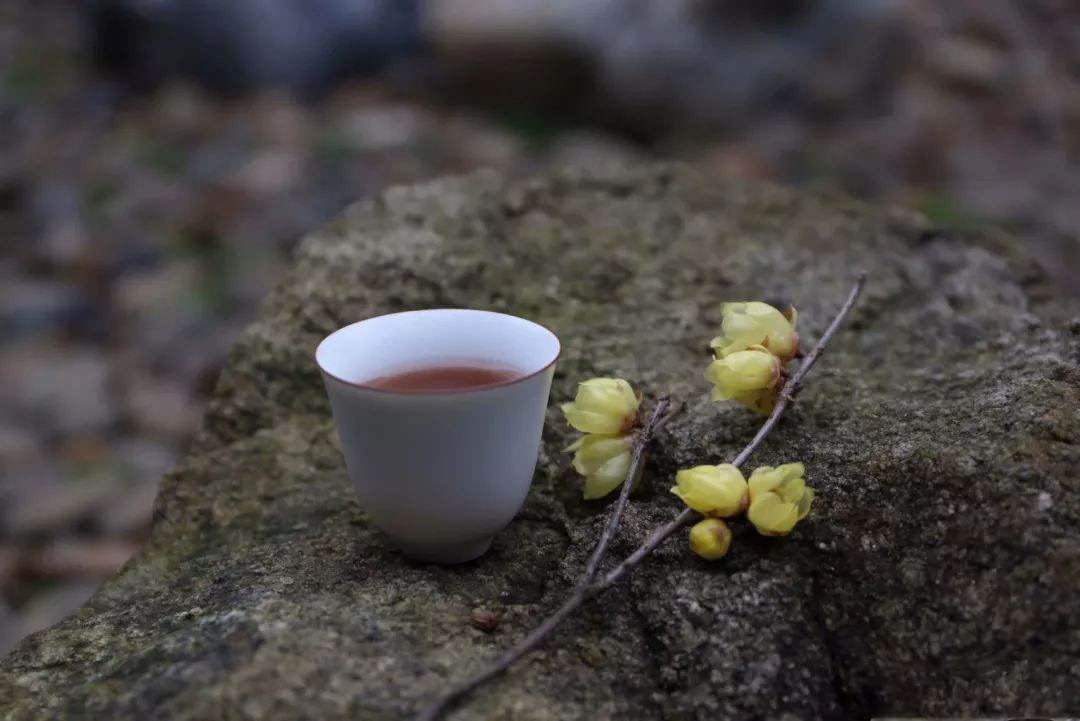 冬至|聽《琴心和鳴》清雅淡泊,平和簡遠_人生