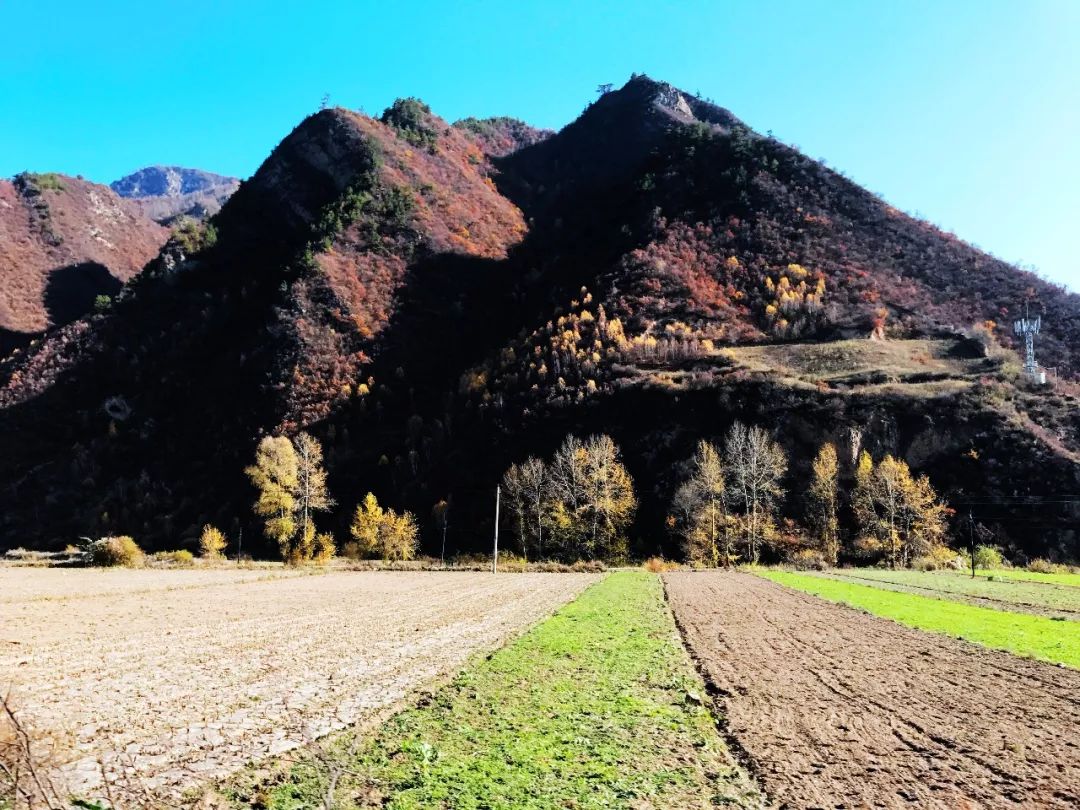 秋峪村,更在山之深处羊沙乡,就在大山之中山也不少地处高原,有草地