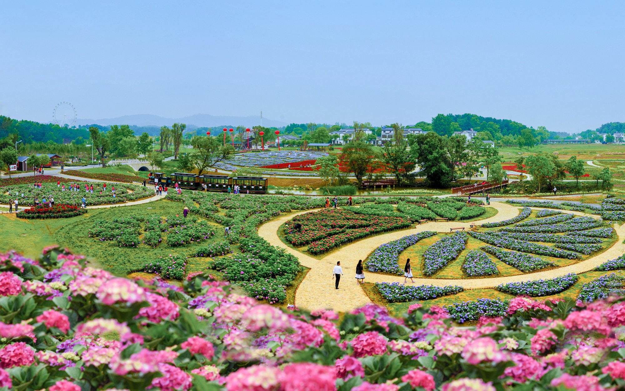 武汉市花山镇图片