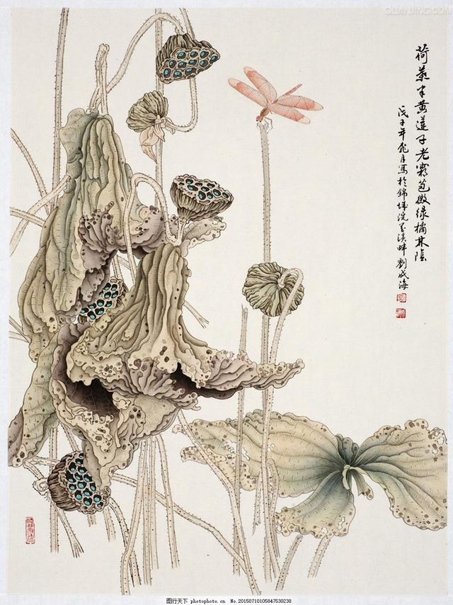 蜻蜓的各种画法