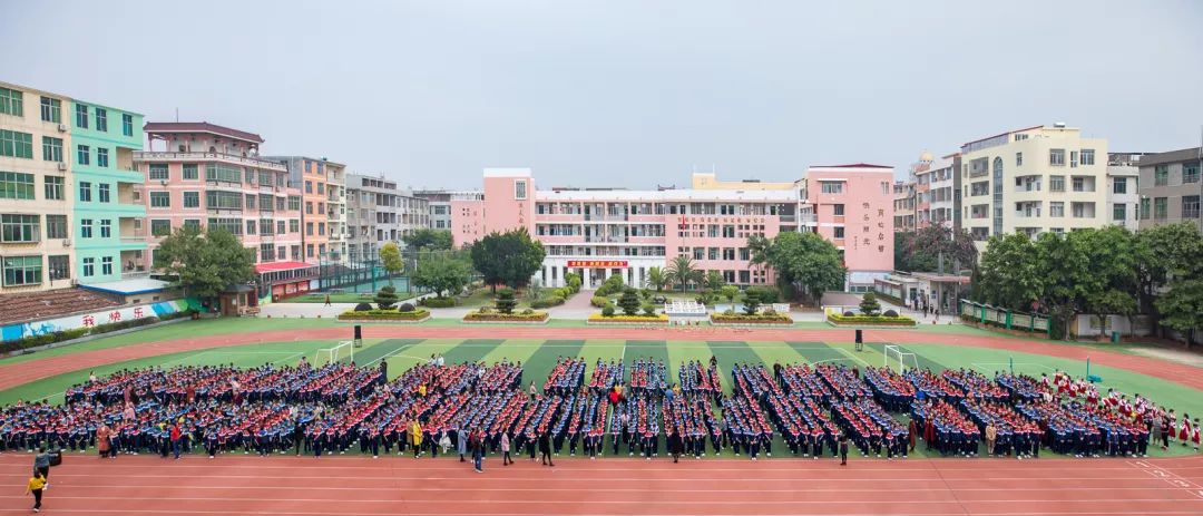 秀屿区实验小学图片