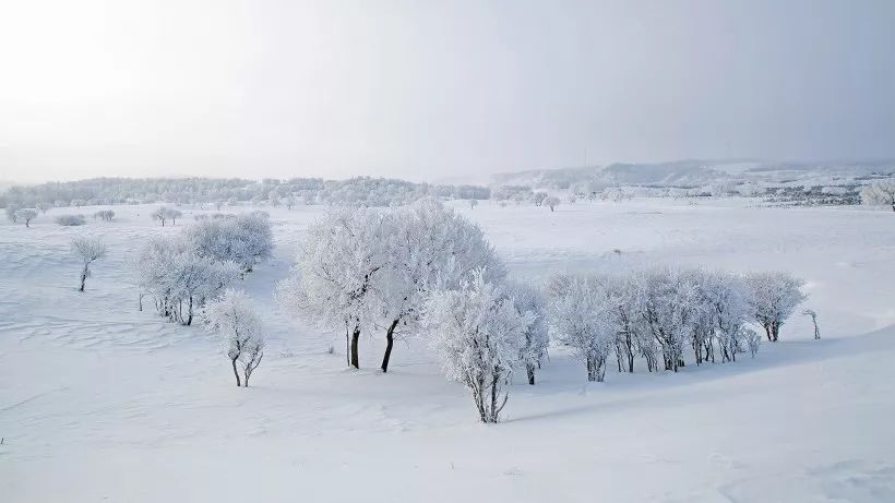 我只是想看看雪 你卻送給我如夢似仙的驚豔_呼倫貝爾