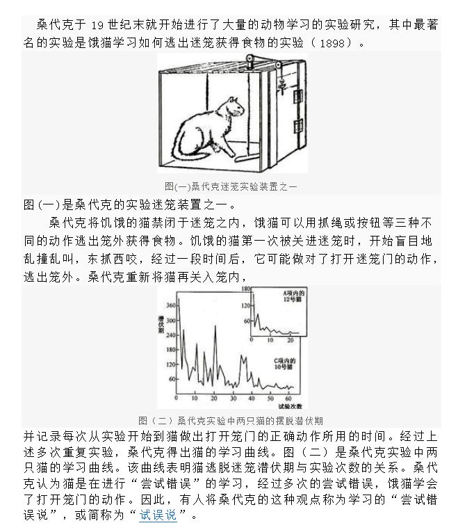 桑代克实验图片