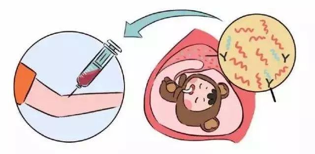 唐篩vs無創vs羊水穿刺孕媽應該怎麼選