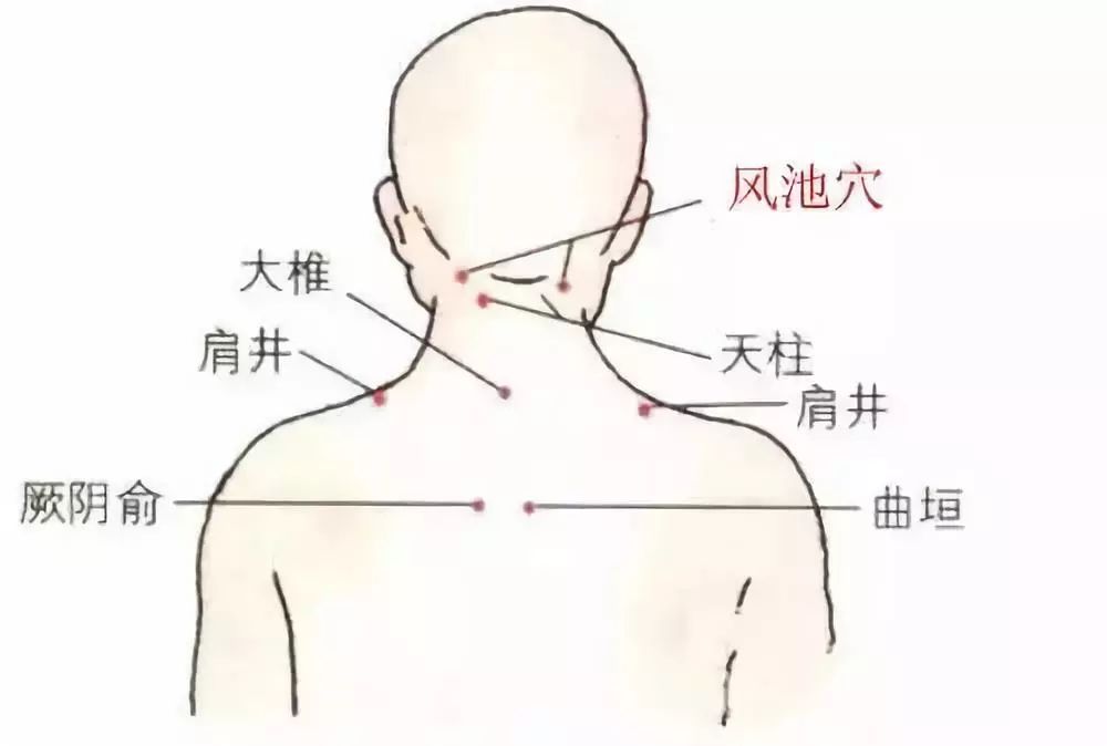 肩颈窝位置示意图图片