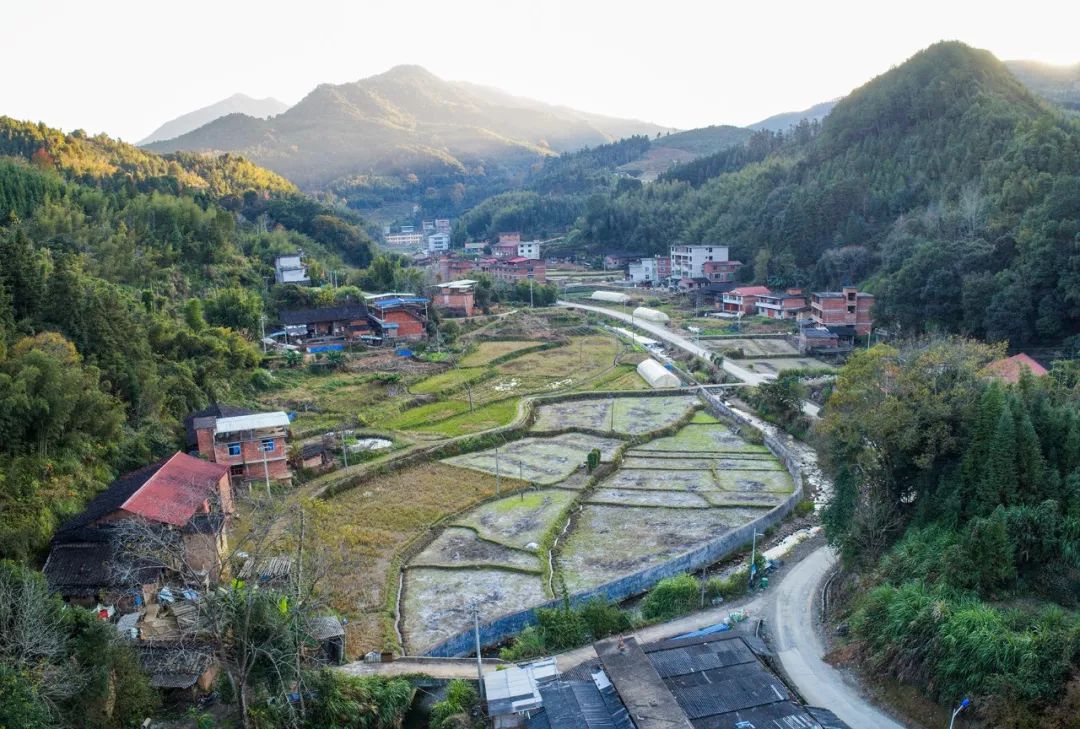 平和县坑里蔡坤森图片