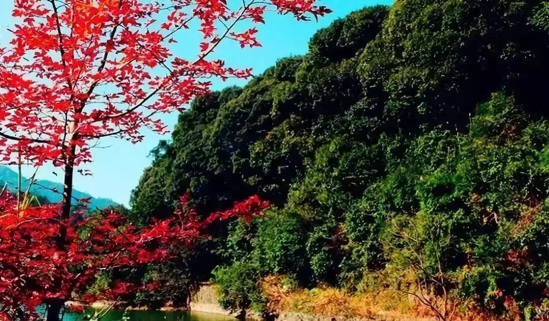 龍台山採摘閩侯龍台山的風景