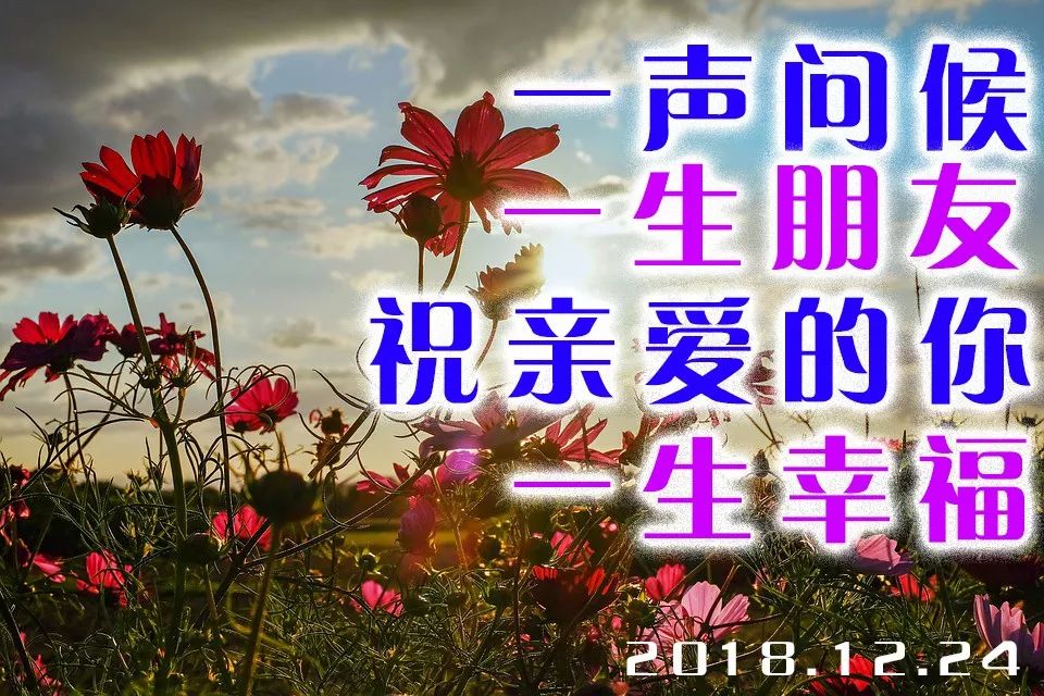 周一早晨问候语图片大全微信早晨祝福语表情套图