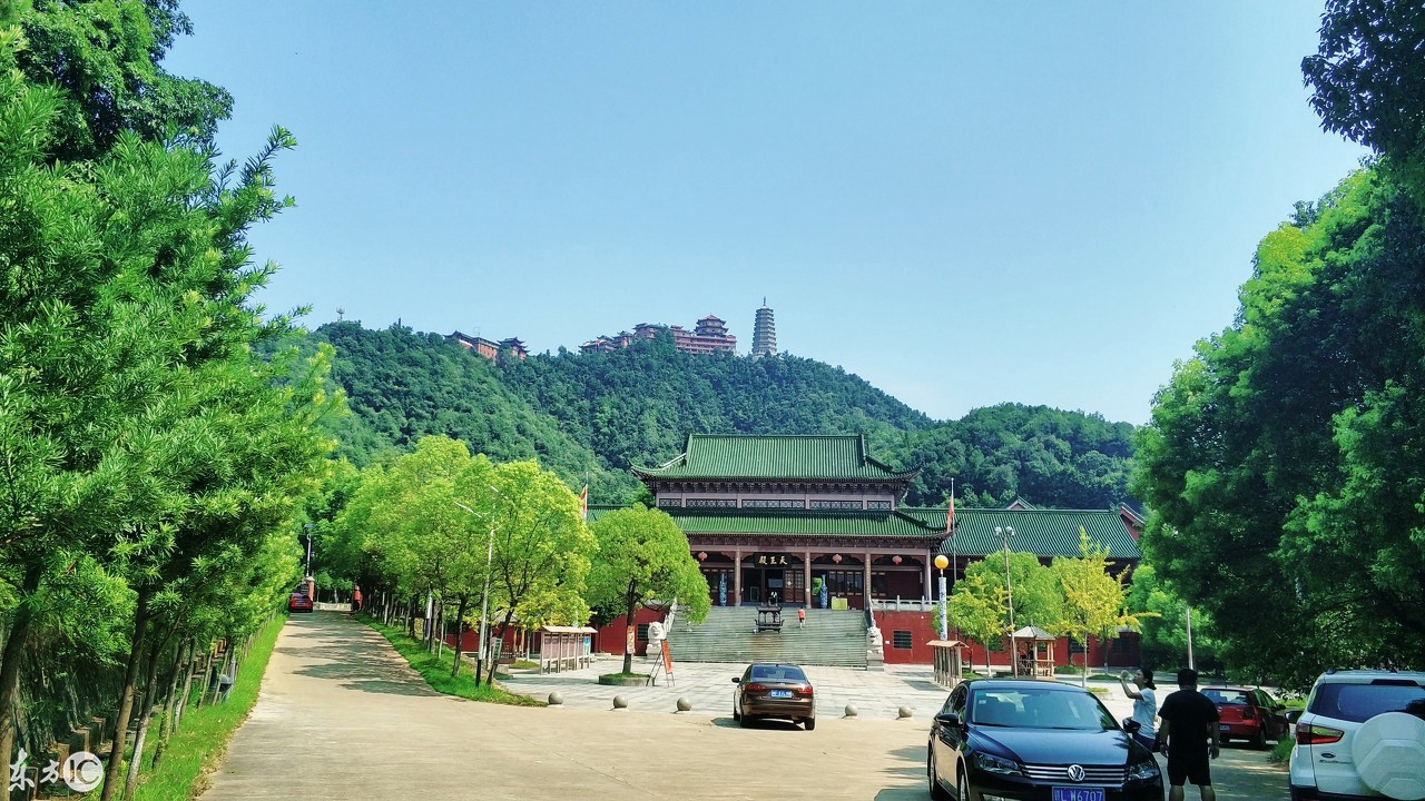 江西省撫州市臨川區雲山鎮大金山禪寺,師傅手剝蓮子送給遊客吃